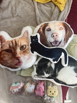 Custom Pet Pillow