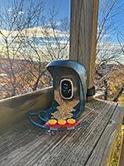 PerchMe Smart Bird Feeder with Camera,2K,Solar Powered, AI Recognition,Great Gift for Bird Lovers