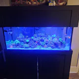 Custom Reef Trace Solution