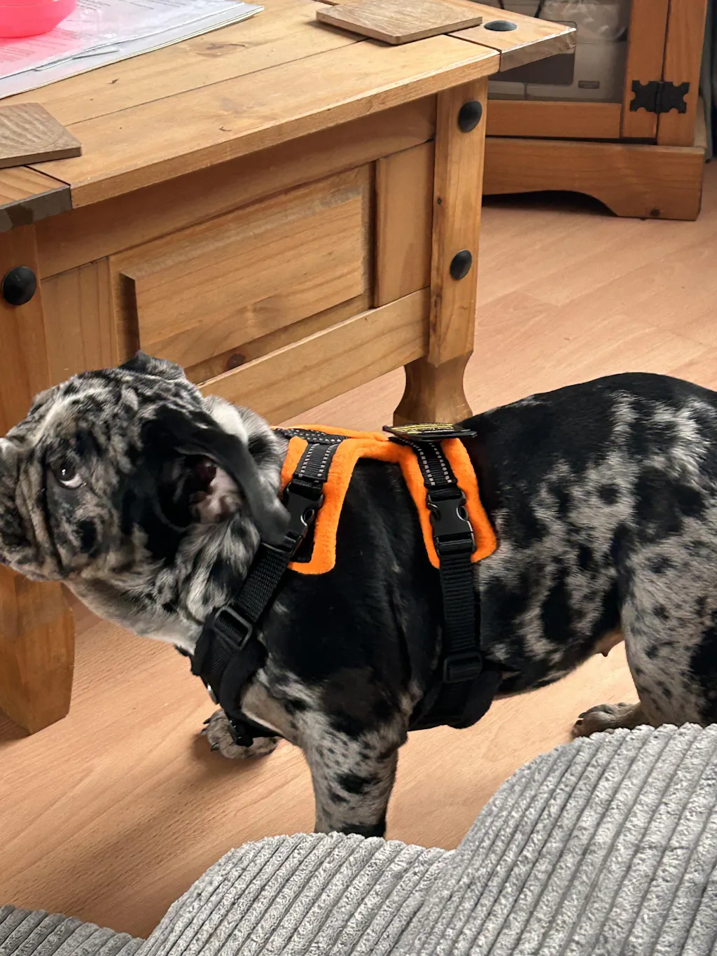 20mm M-M-M PerfectFit Harness