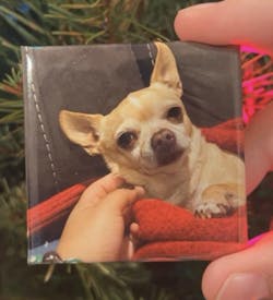 Custom Photo Magnets 2"x2" - Set of 9