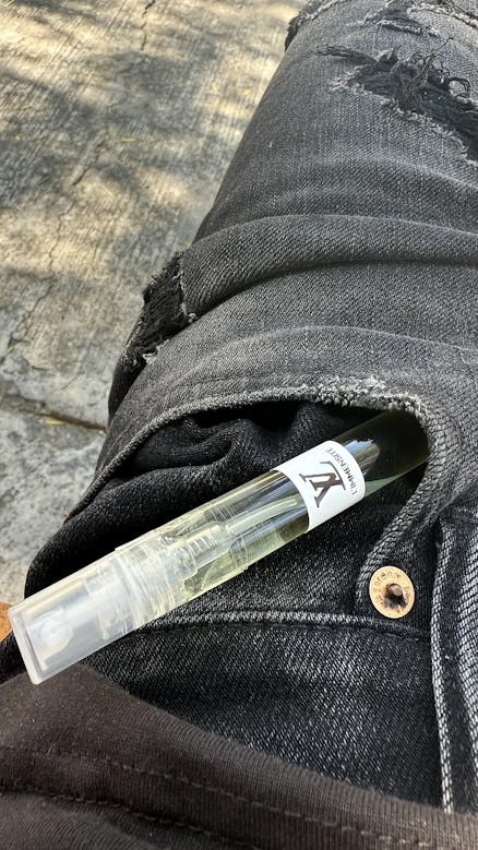 Louis Vuitton L’immensité (Portátil)