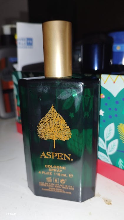 Aspen Cologne Perfume Shop Inspired By Silver Mountain Water Aspen