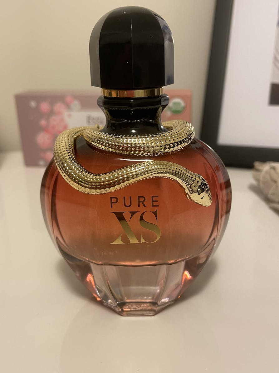 Dolce gabbana xs perfume hot sale