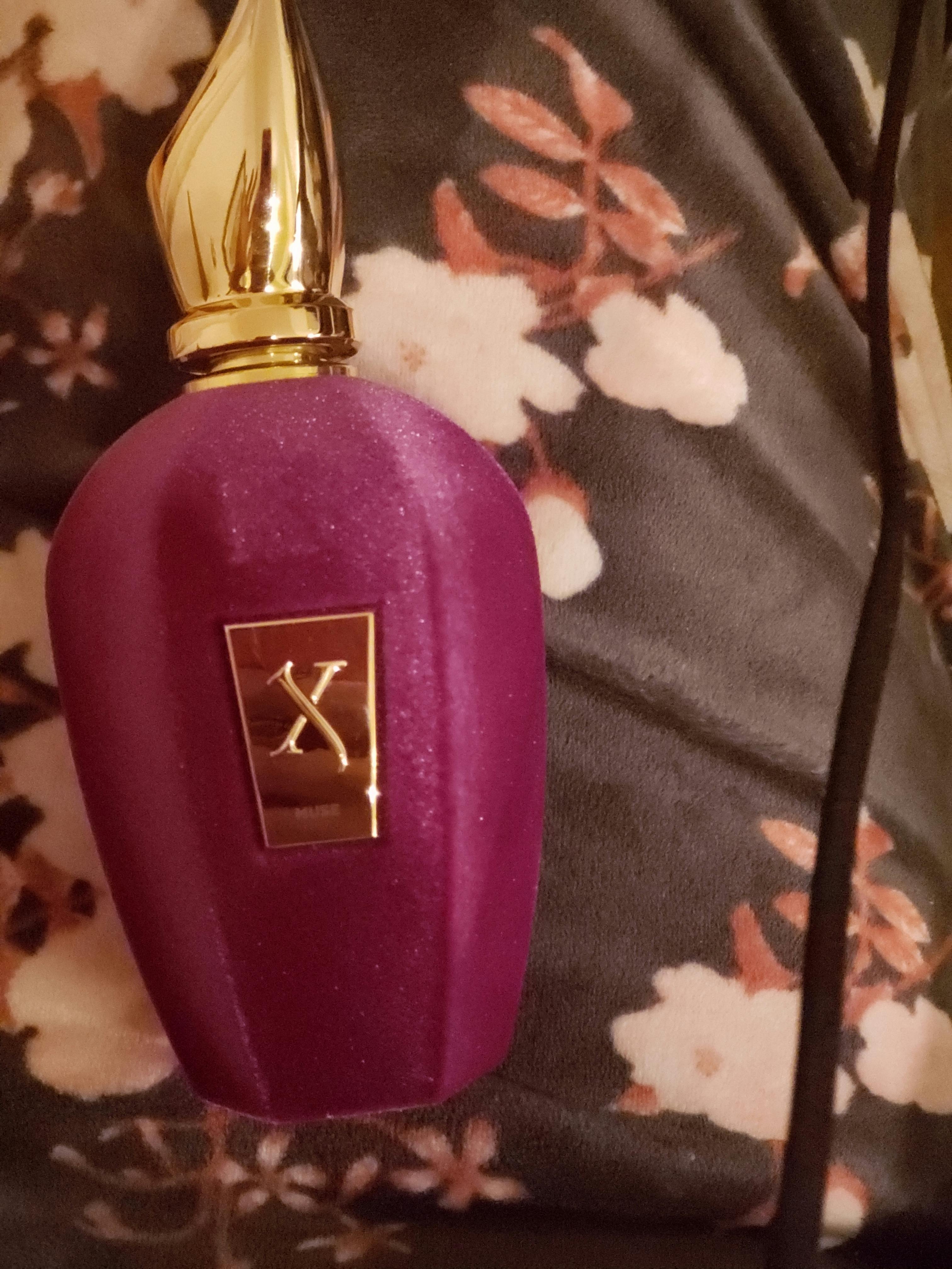 Xerjoff Muse Perfume for Unisex by Xerjoff in Canada