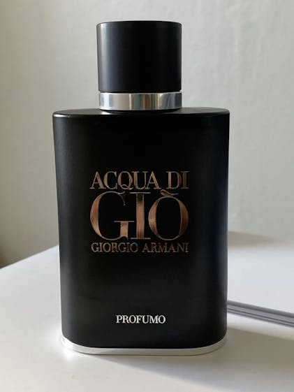 Acqua Di Gio Profumo Cologne for Men by Giorgio Armani in Canada –  