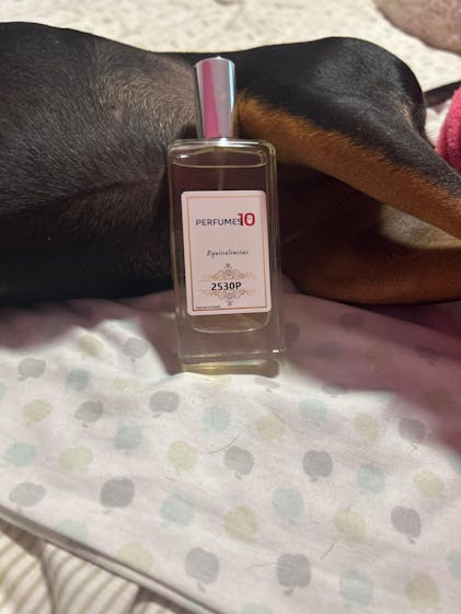 Perfume de imitación INTENSE DE HOMBRE – Perfumes10