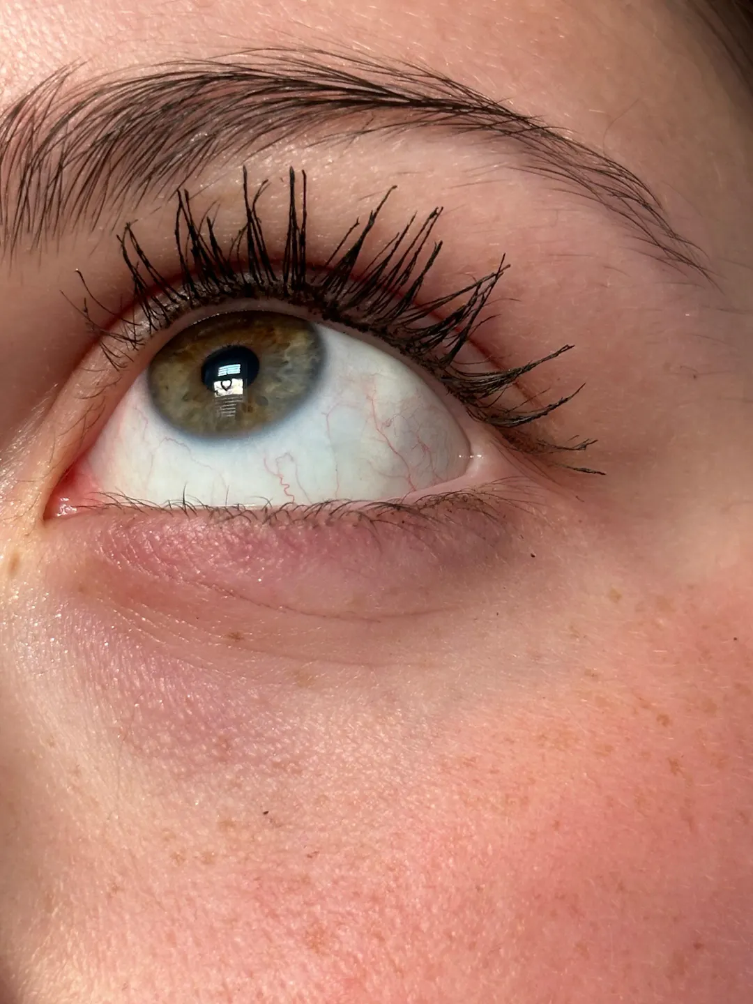 NOURISHING LASH OIL
