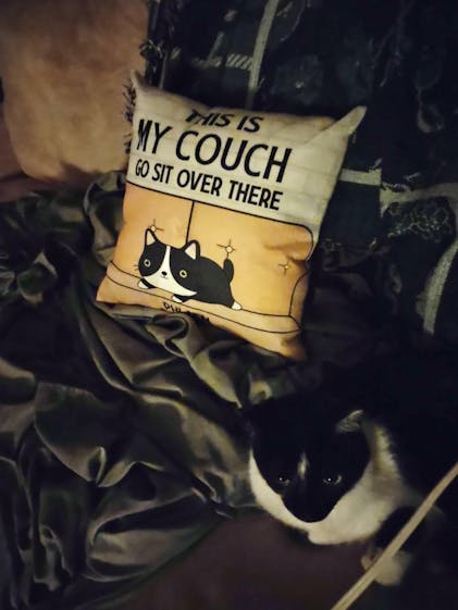 This Is Our Couch Go Sit Over There Funny Cartoon Cat - Gift For Cat Lovers  - Personalized Pillow in 2023