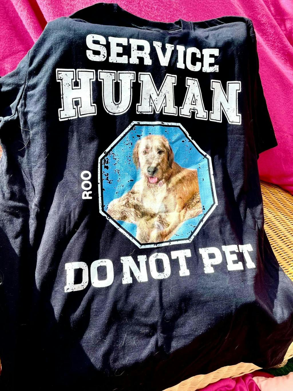 Service Human Do Not Pet, Personalized Shirt, Gifts For Dog Lovers, Cu PersonalFury
