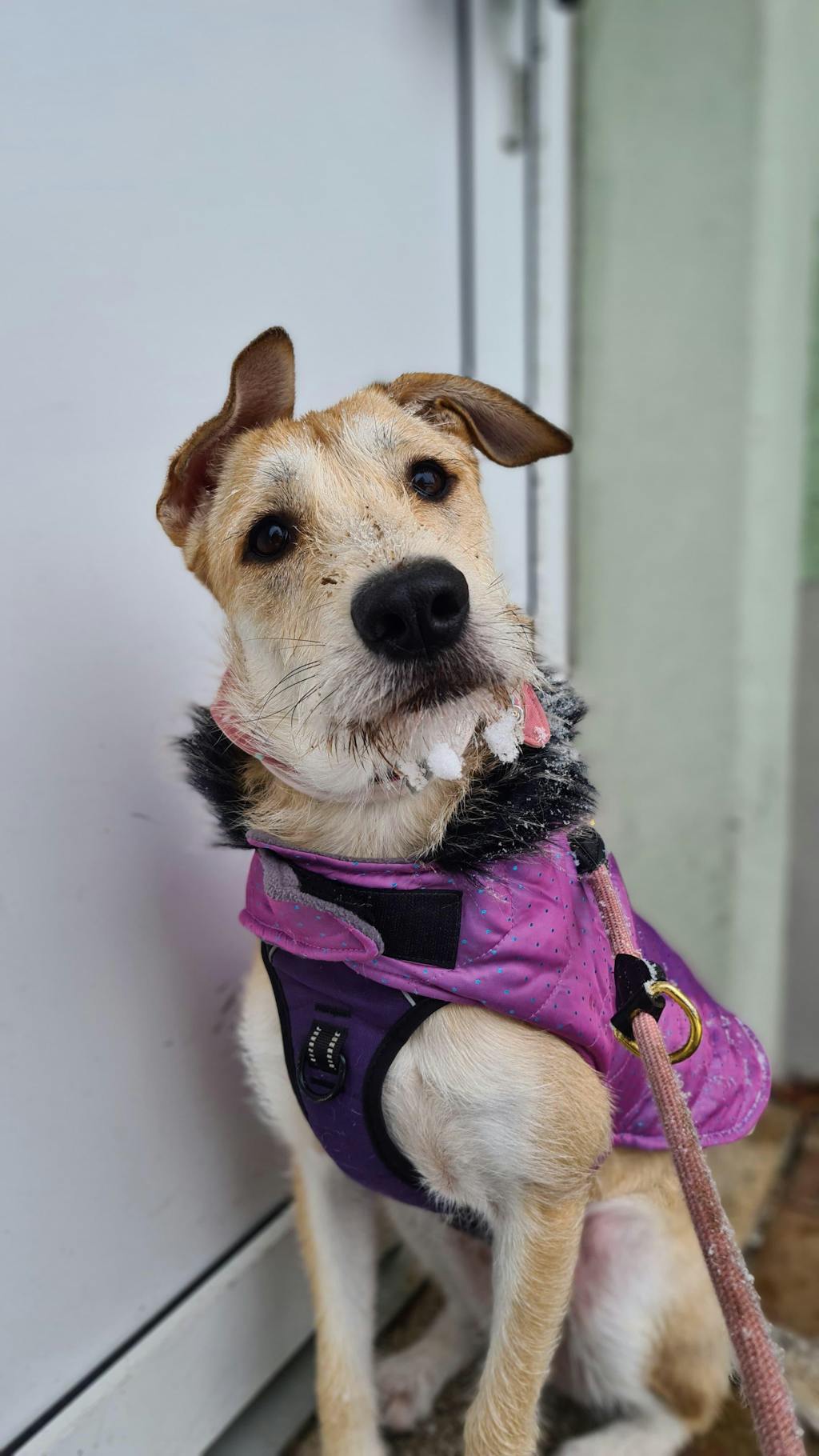 Klingeln nicht nötig - Individuelle Fußmatte