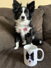 Premium Custom Coffee Mugs