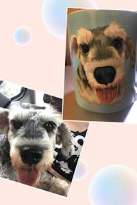 Premium Custom Coffee Mugs