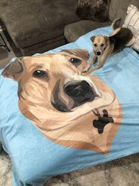 Custom Pet Print Fleece Blanket