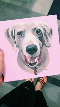 Custom Pet Portrait Canvas