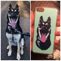Custom Pet Phone Case