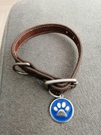 Paw Print Design ID Tag
