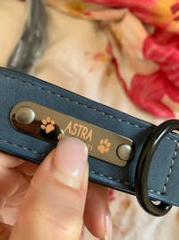 Custom Leather Collar