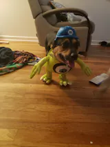 User picture