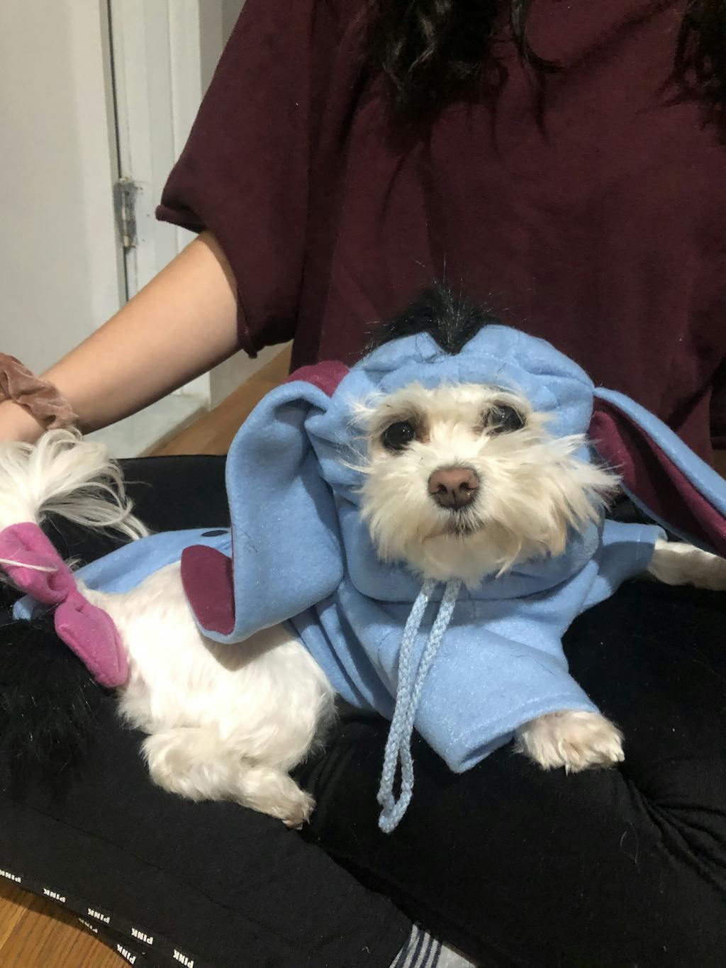 Eeyore Disney Dog Costume Pet Costume Center