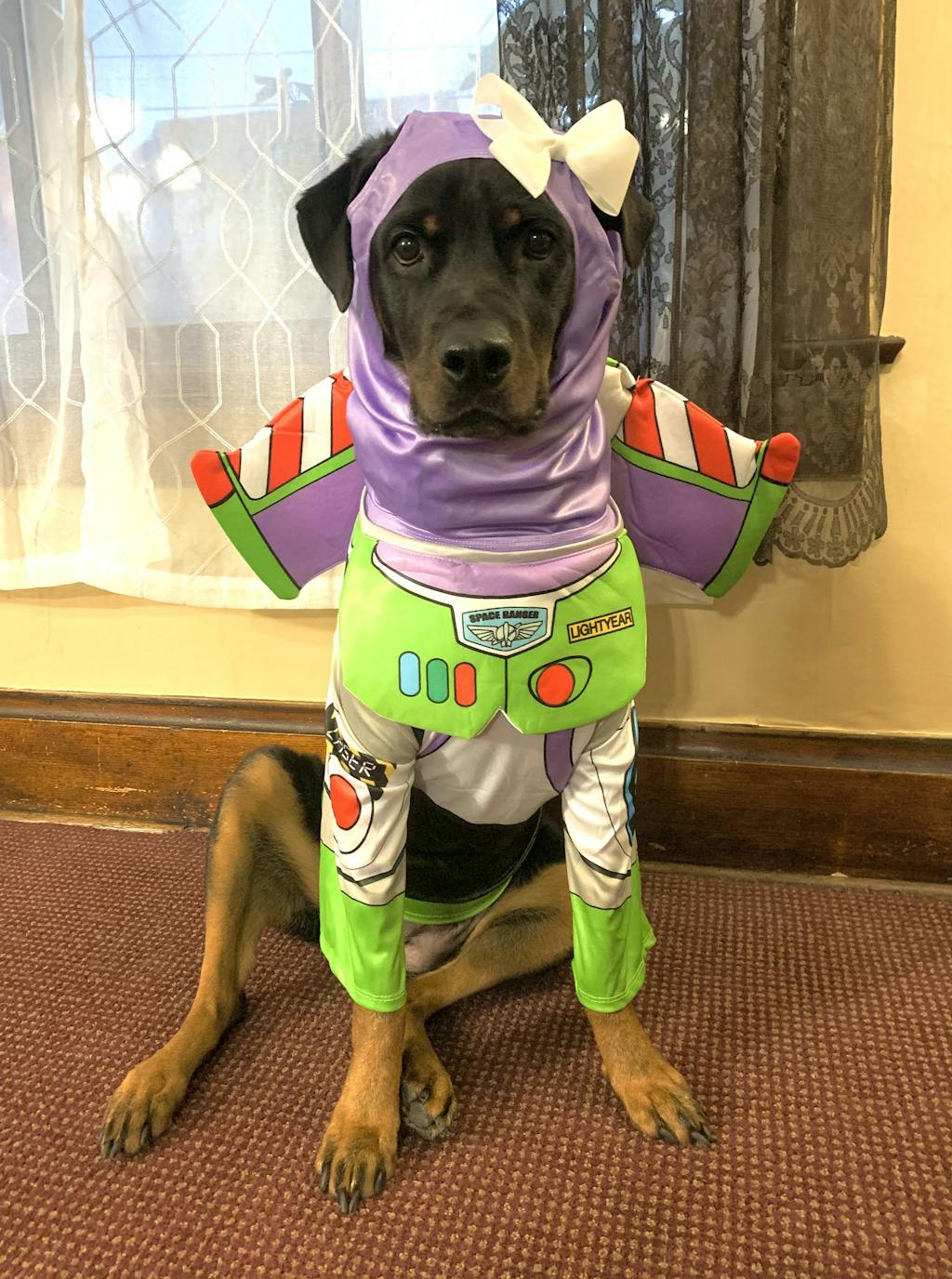 Big Dog Buzz Lightyear Toy Story Costume - Pet Costume Center