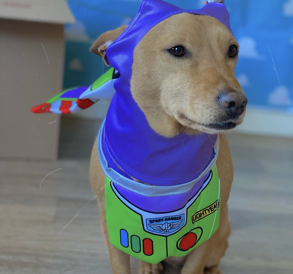 Buzz Lightyear Light Up Toy Story Pet Costume Pet Costume Center