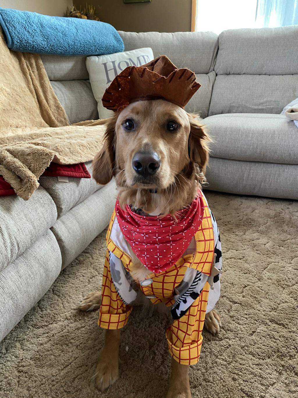 Deluxe Woody Toy Story Dog Costume Pet Costume Center