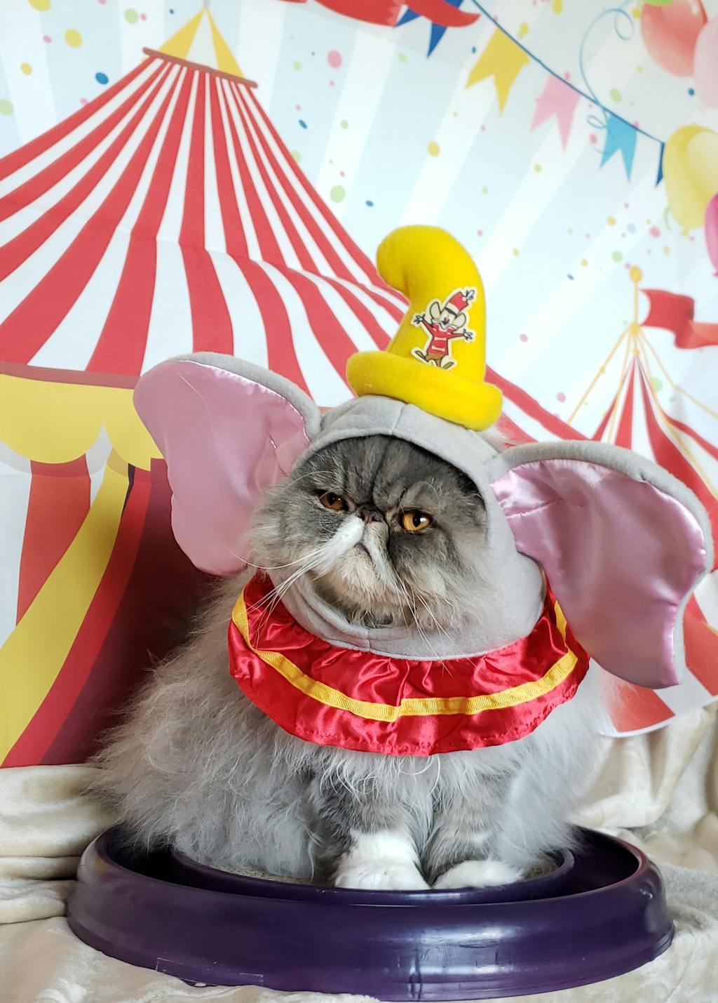 Disney Dumbo Ears Headpiece Costume Dog & Cat Costume Pet Costume Center