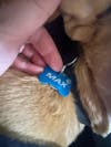 Dog Tag Aluminium Bone LIGHT BLUE