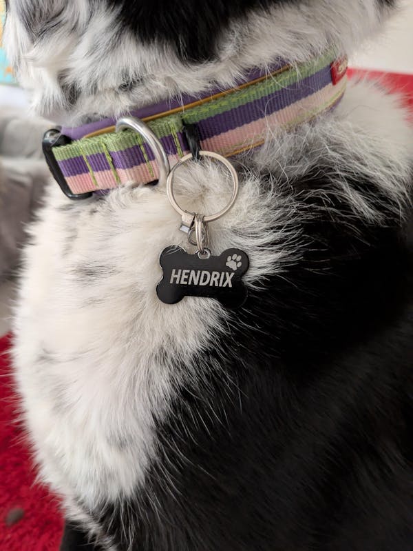 Dog id Tag Aluminium Bone BLACK