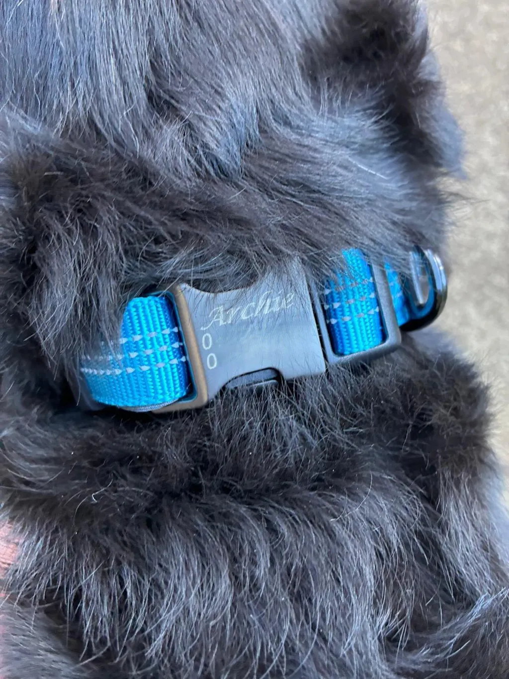 Pet ID Tags