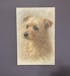 Dog or Cat - Painted Portrait Styles - Wrapped Canvas
