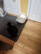 1.8-Gallon Pet Water Fountain | F1 Plug-in & F2 Wireless Models