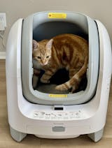 Open-top Smart Litter Box [C1]