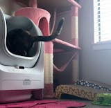 Open-top Smart Litter Box [C1]