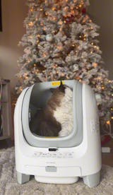 Open-top Smart Litter Box [C1]