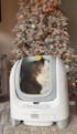 Open-top Smart Litter Box [C1]