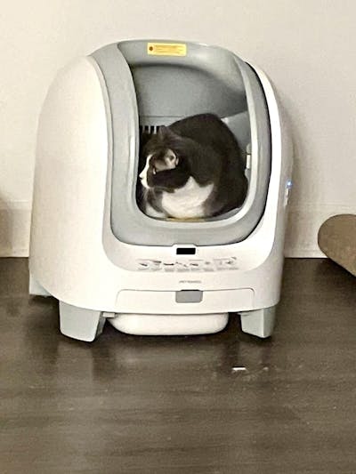Open-top Smart Litter Box [C1]