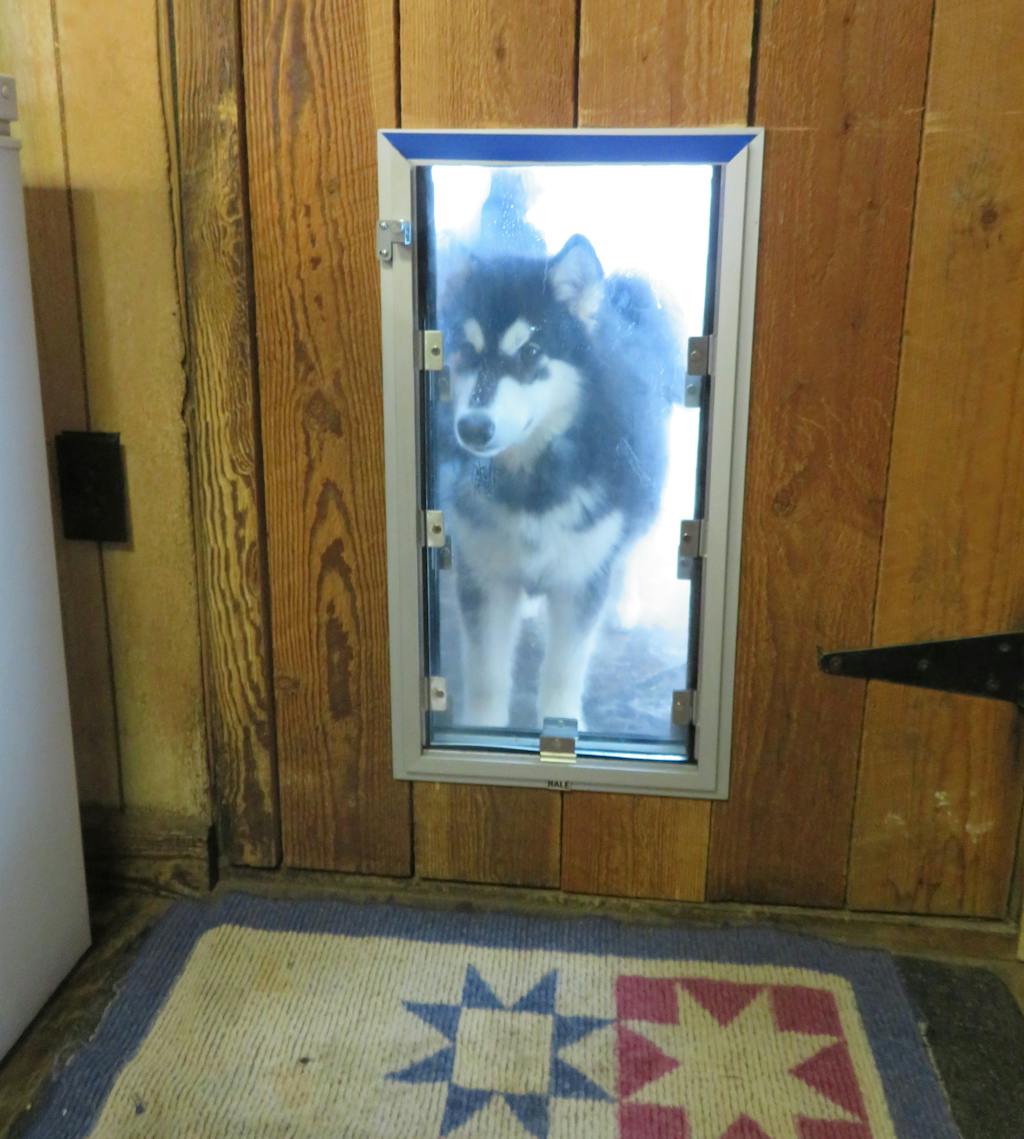 Hale Pet Door InDoor Mounted Installation; dog doors and cat doors