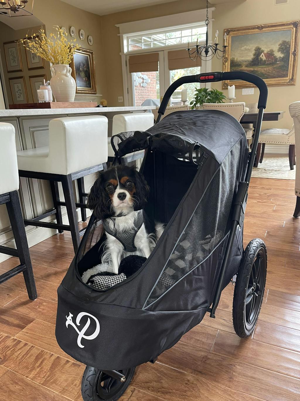 Petique Breeze Pet Jogger