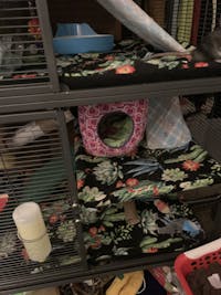 DELUXE Set Absorbent DOUBLE UNIT Critter Nation/Ferret Nation Cage Liners