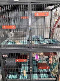6.5" CHILLER Ledge CORAL - Metal Cage Ledge