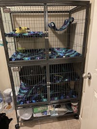 DELUXE Set Absorbent DOUBLE UNIT Critter Nation/Ferret Nation Cage Liners