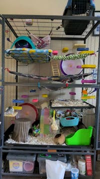 Pet Revolution® SCATTER GUARDS for Critter Nation & Ferret Nation Cages