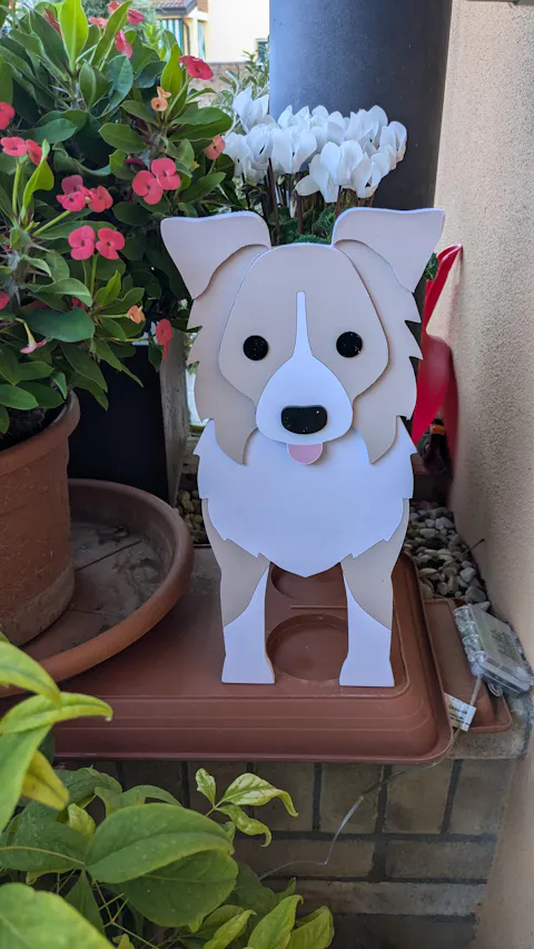 Fioriera Border Collie