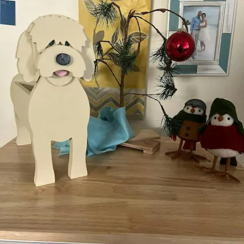 Fioriera Goldendoodle