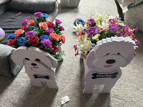 Fioriera Goldendoodle