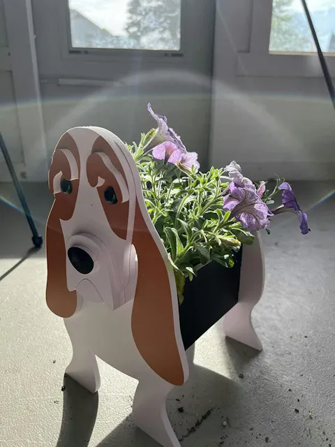 Fioriera Basset Hound