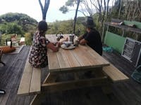 Picnic Table | A-frame