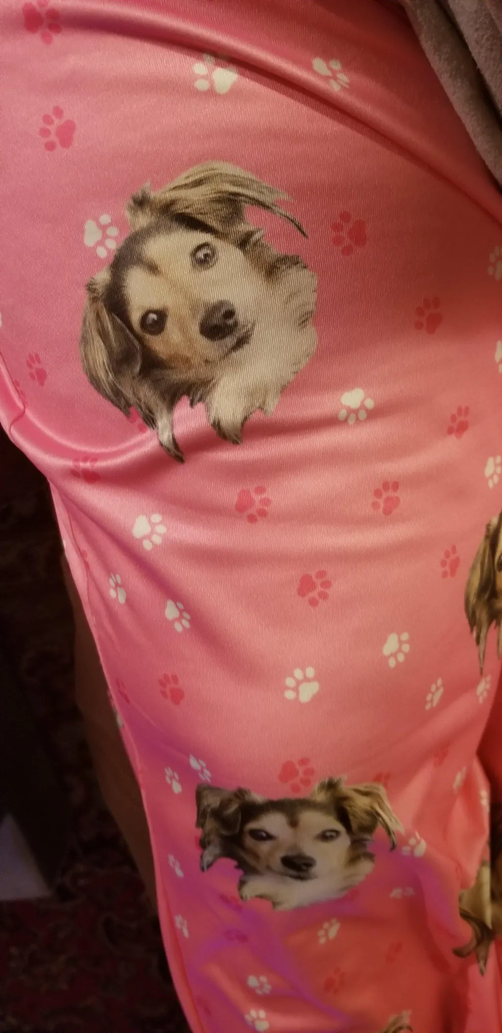 Spread Love Ban Hate - Dog Pajama with Orange Neck & Trim/Sleeves
